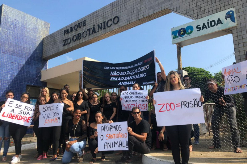 Protetores de animais pedem fechamento de zoológico